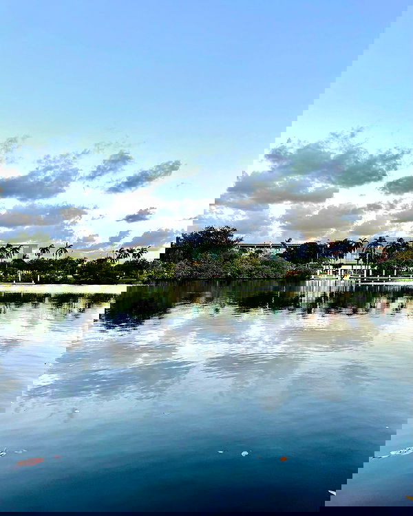 itshayleydavies image ~ Altpins