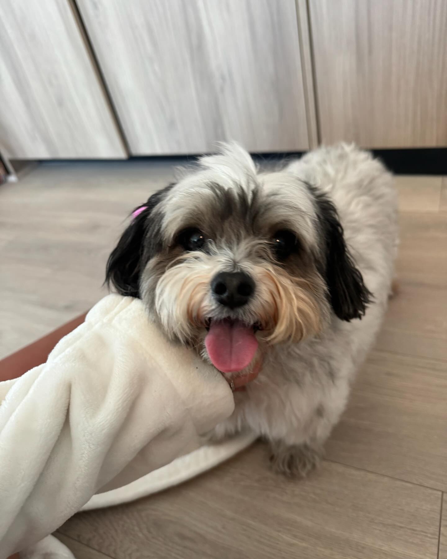 itshayleydavies instagram image archive image