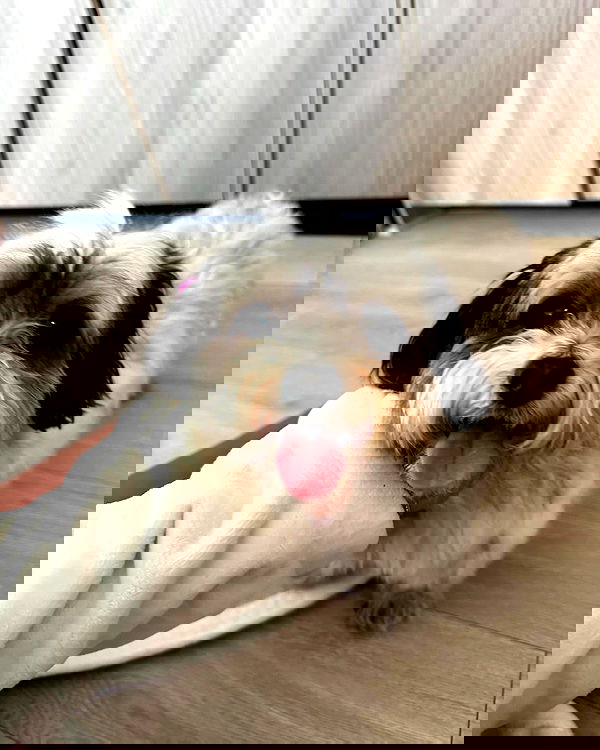 itshayleydavies image ~ Altpins