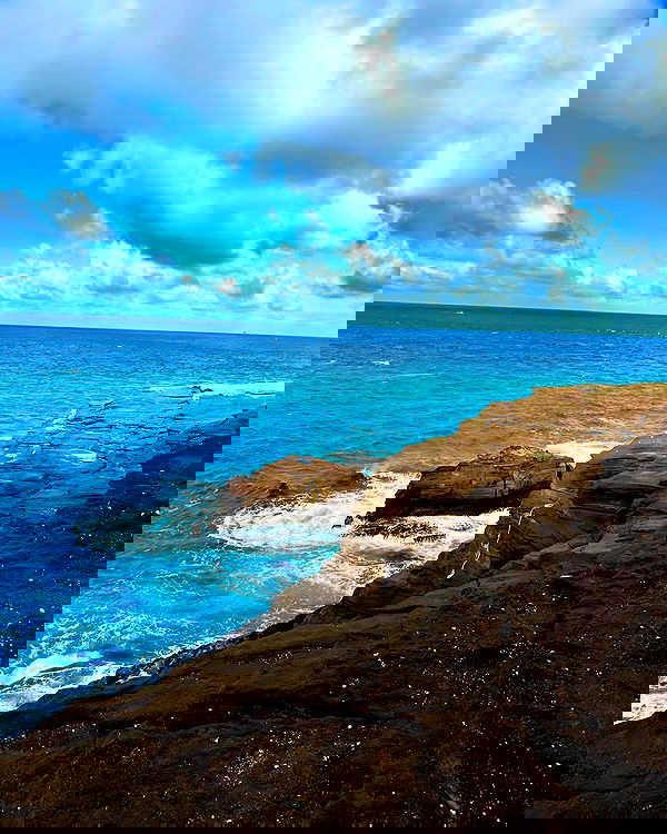 itshayleydavies image ~ Altpins