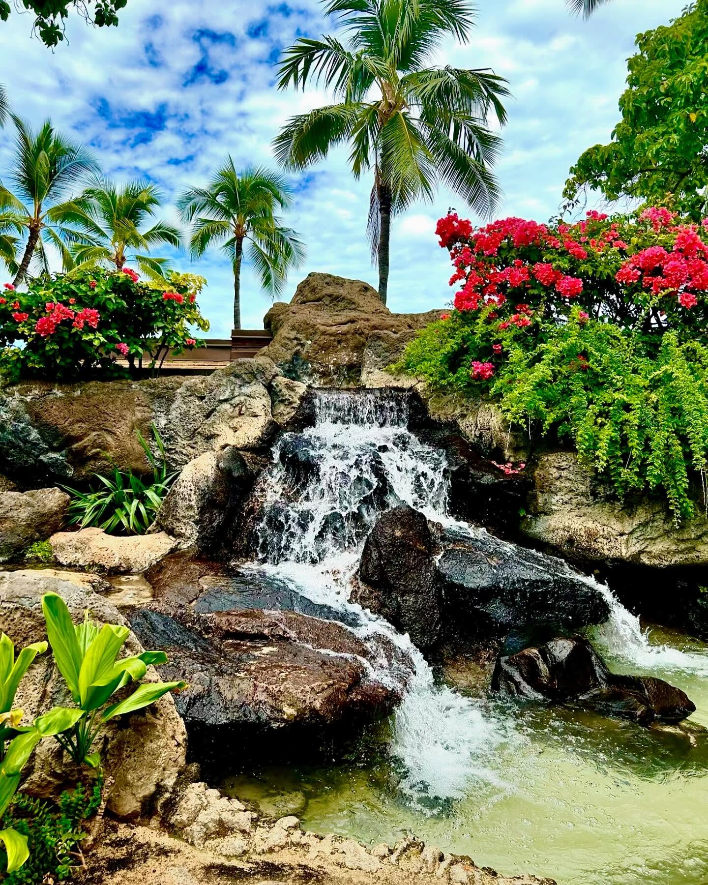 itshayleydavies instagram image archive image