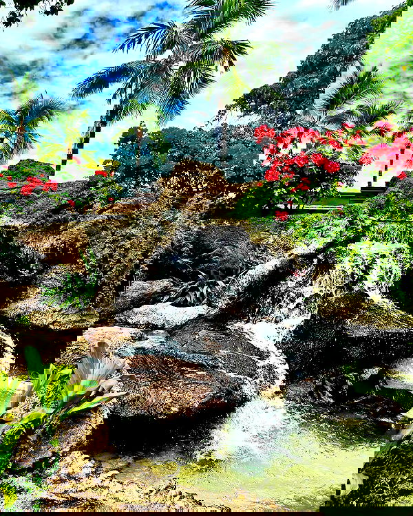 itshayleydavies image ~ Altpins