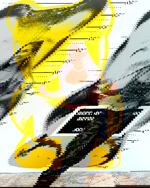 itshayleydavies image ~ Altpins