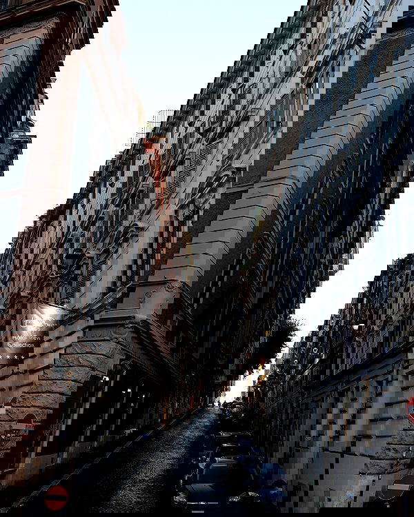 itshayleydavies image ~ Altpins