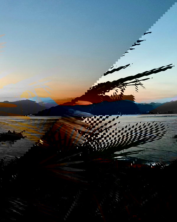 itshayleydavies image ~ Altpins