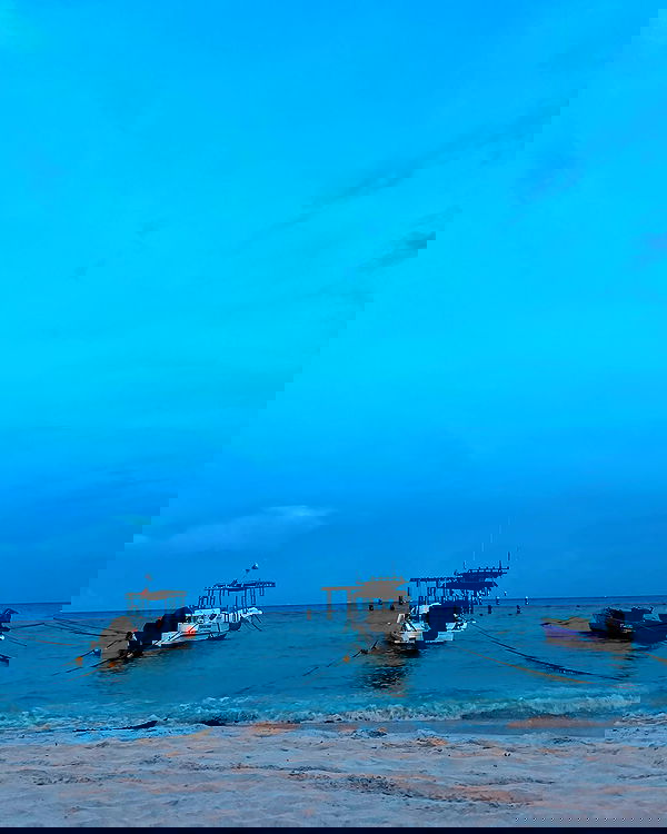 itshayleydavies image ~ Altpins