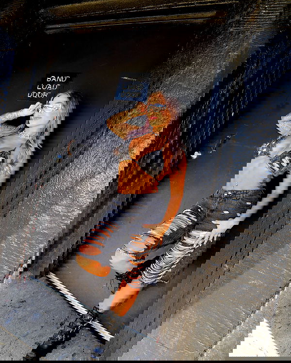 itshayleydavies image ~ Altpins