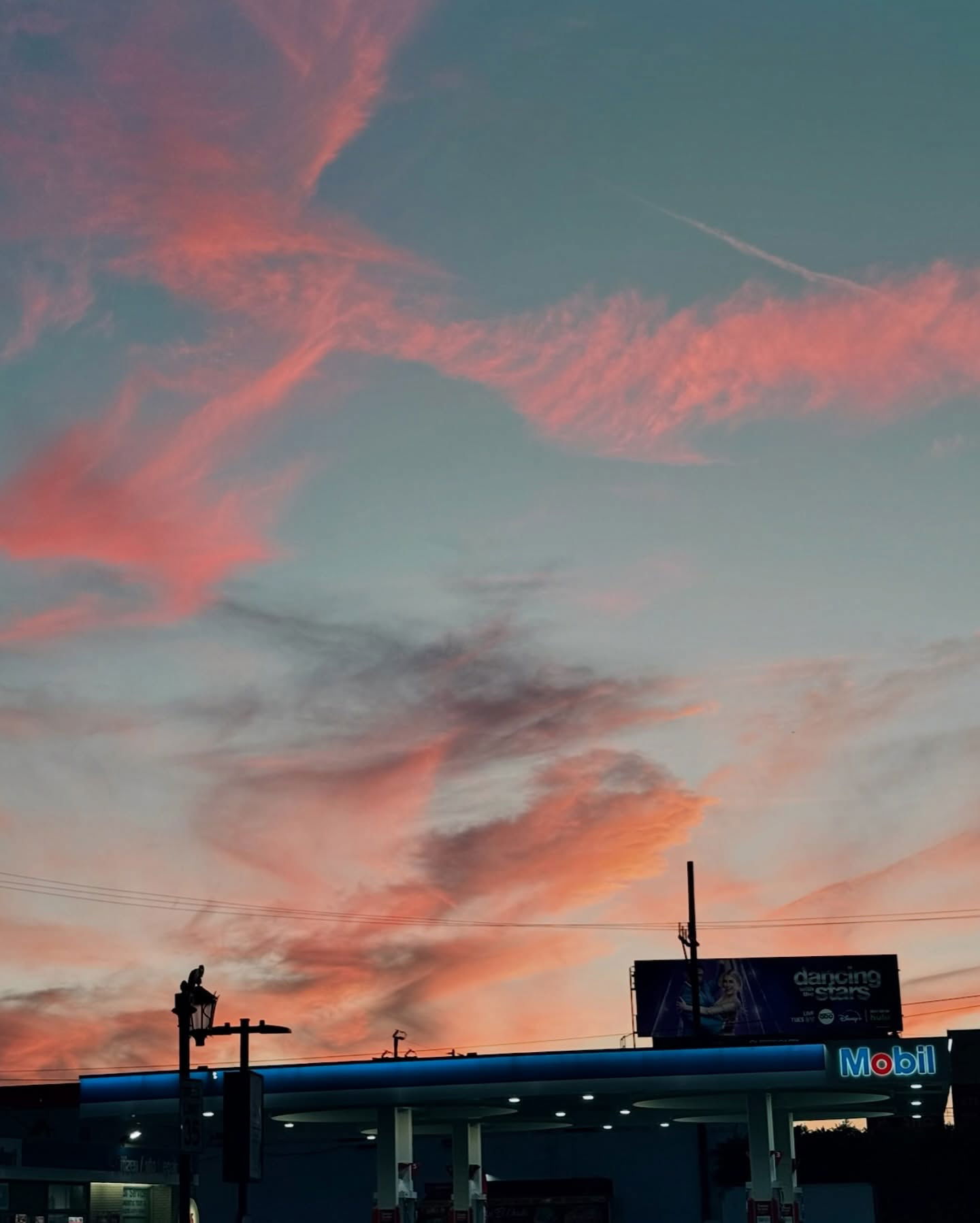 itshayleydavies instagram image archive image