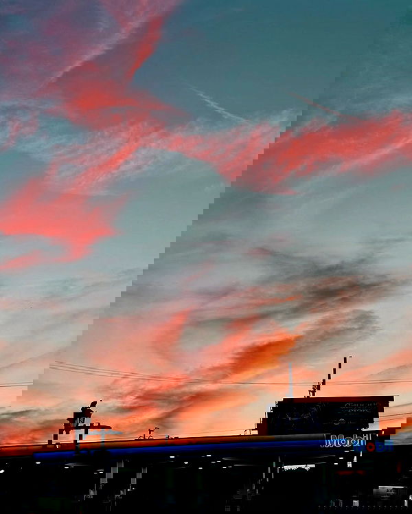 itshayleydavies image ~ Altpins