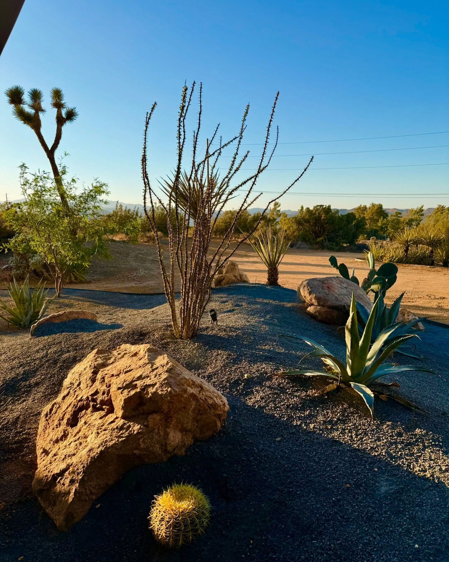 itshayleydavies instagram image archive image