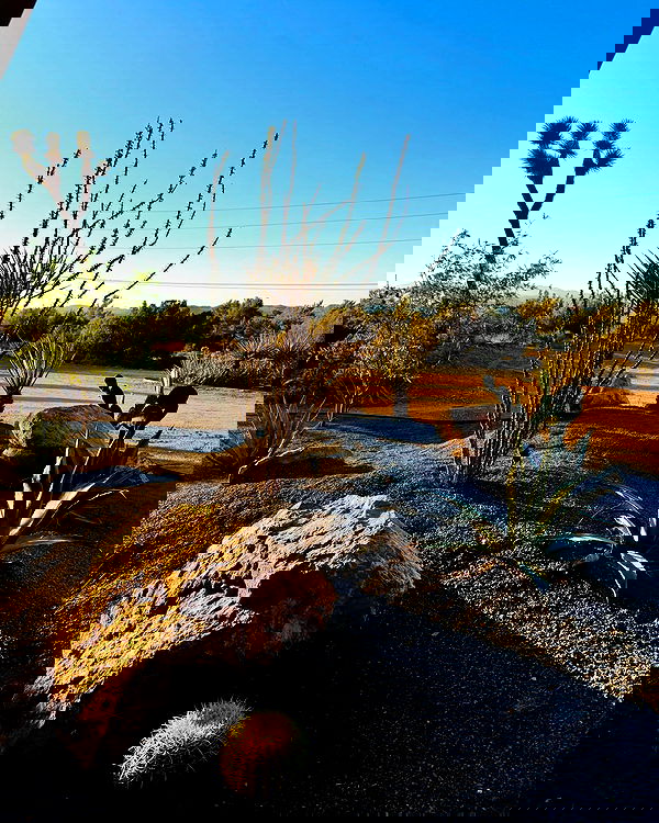 itshayleydavies image ~ Altpins