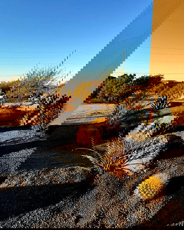 itshayleydavies image ~ Altpins