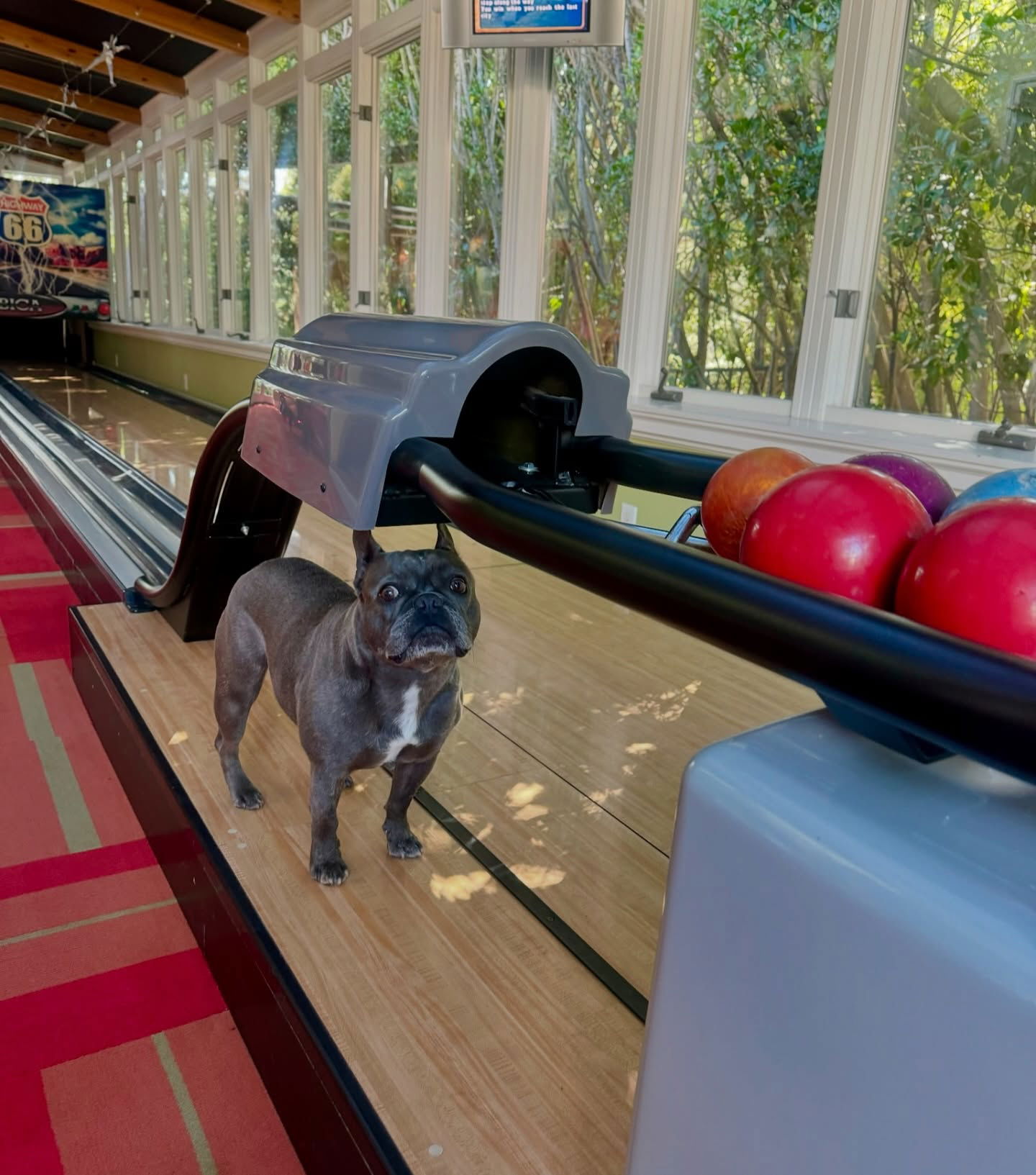 itshayleydavies instagram image archive image