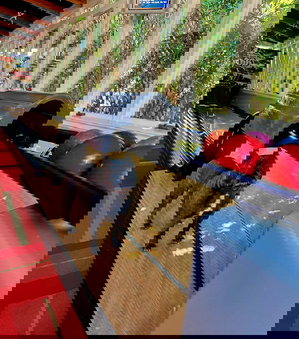 itshayleydavies image ~ Altpins