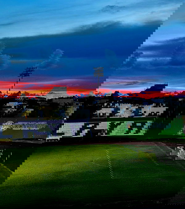 itshayleydavies image ~ Altpins