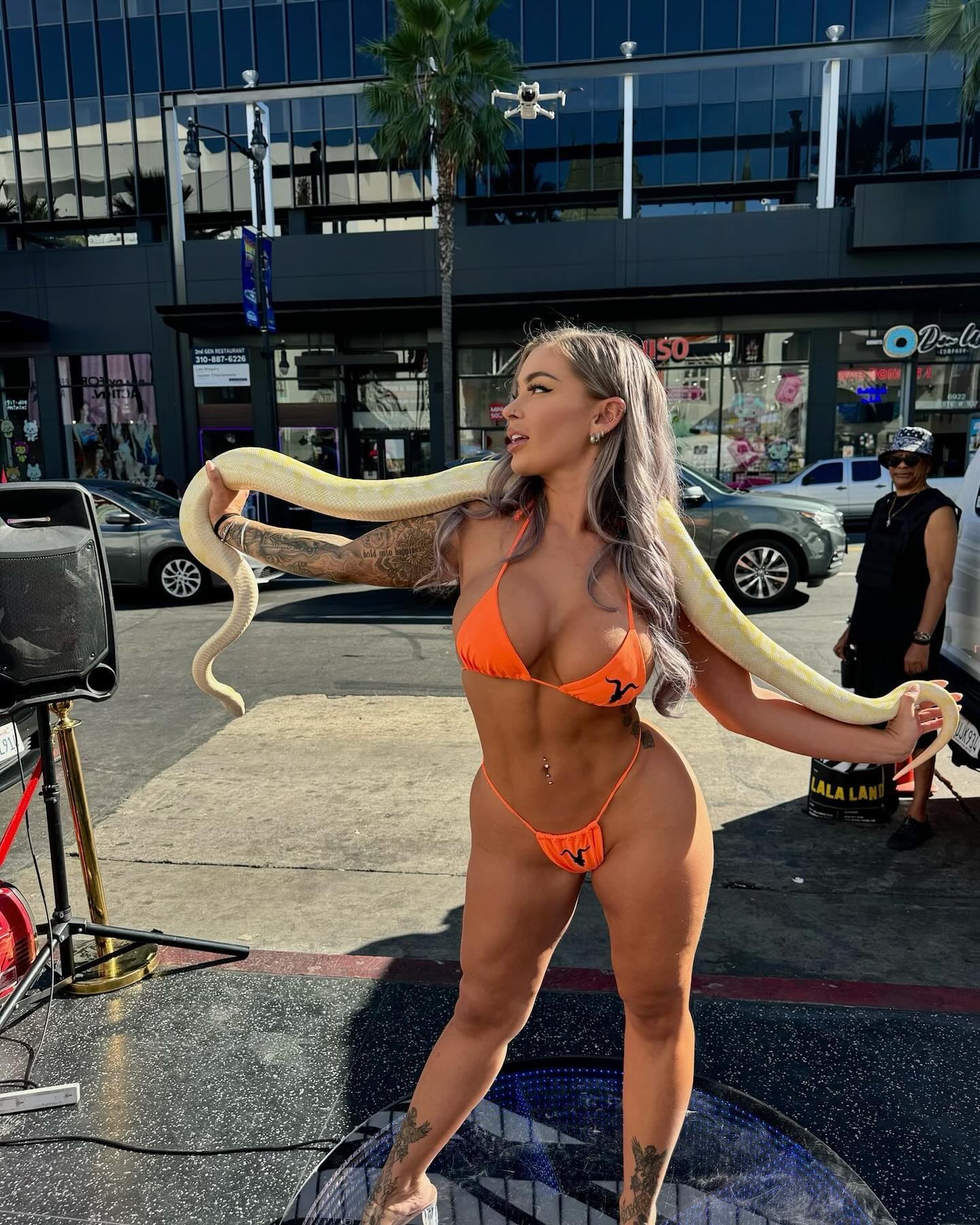 itshayleydavies instagram image archive image