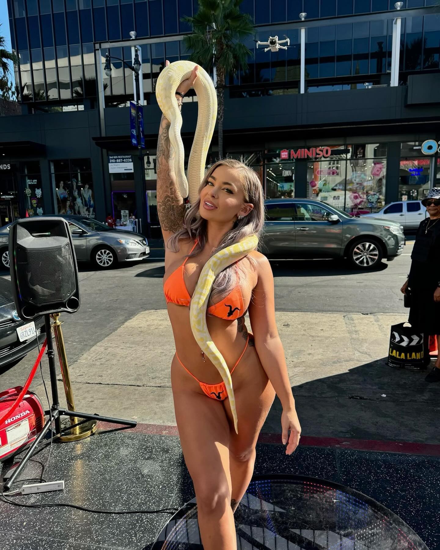 itshayleydavies instagram image archive image