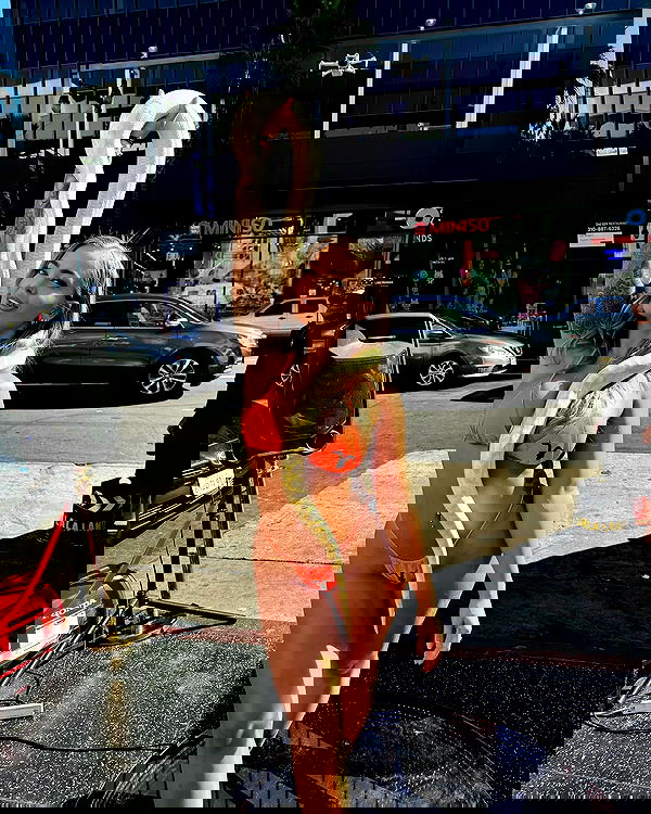 itshayleydavies image ~ Altpins