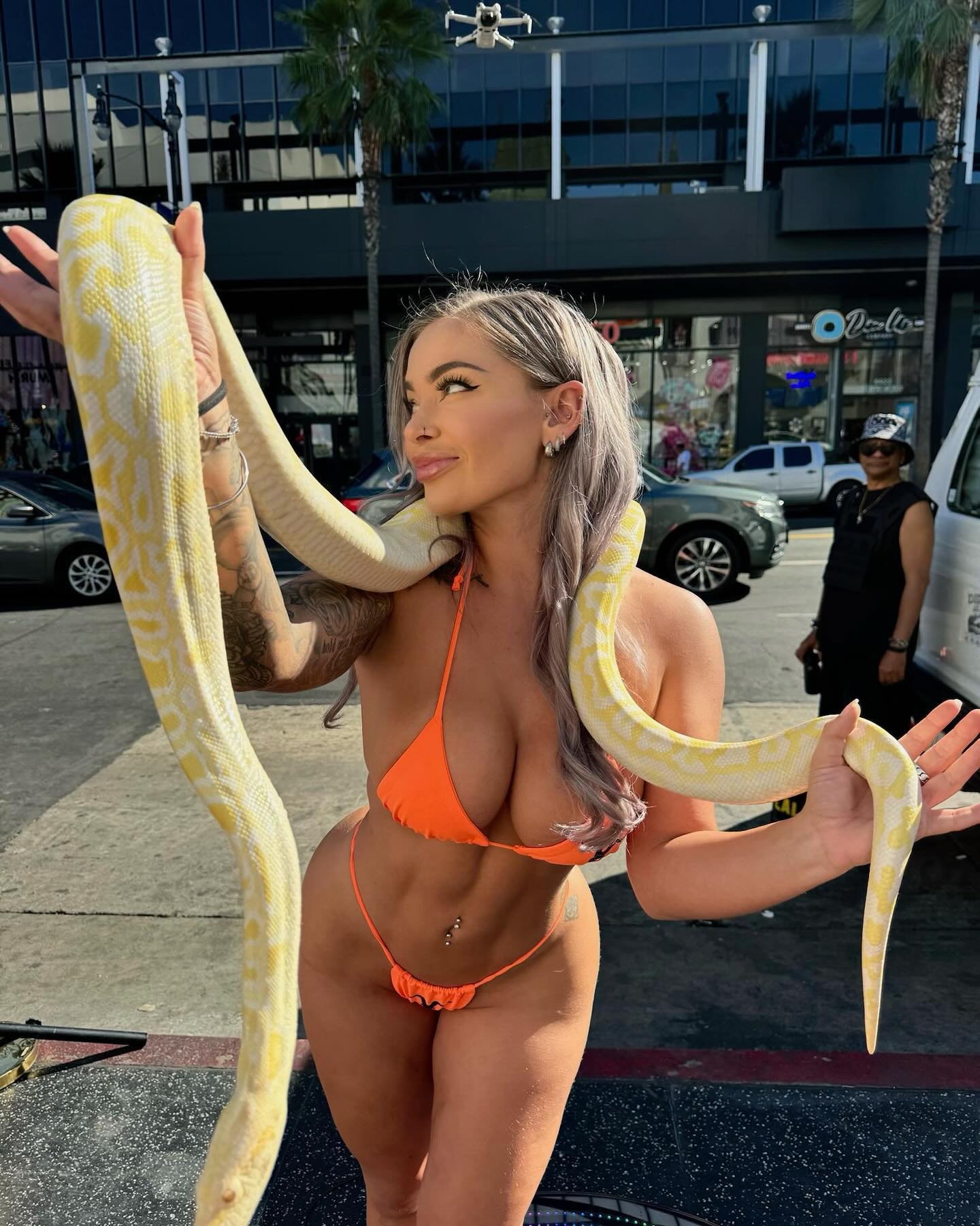 itshayleydavies instagram image archive image