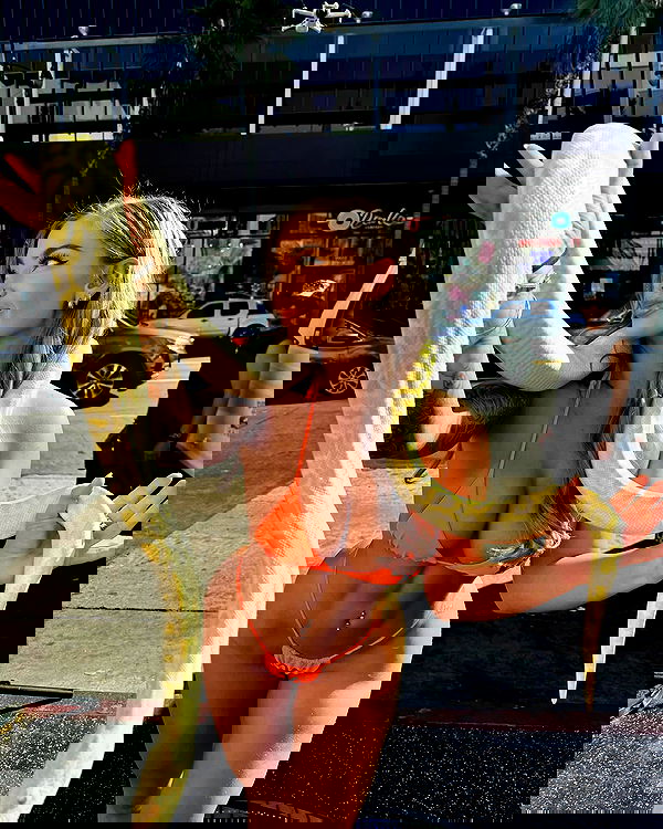 itshayleydavies image ~ Altpins