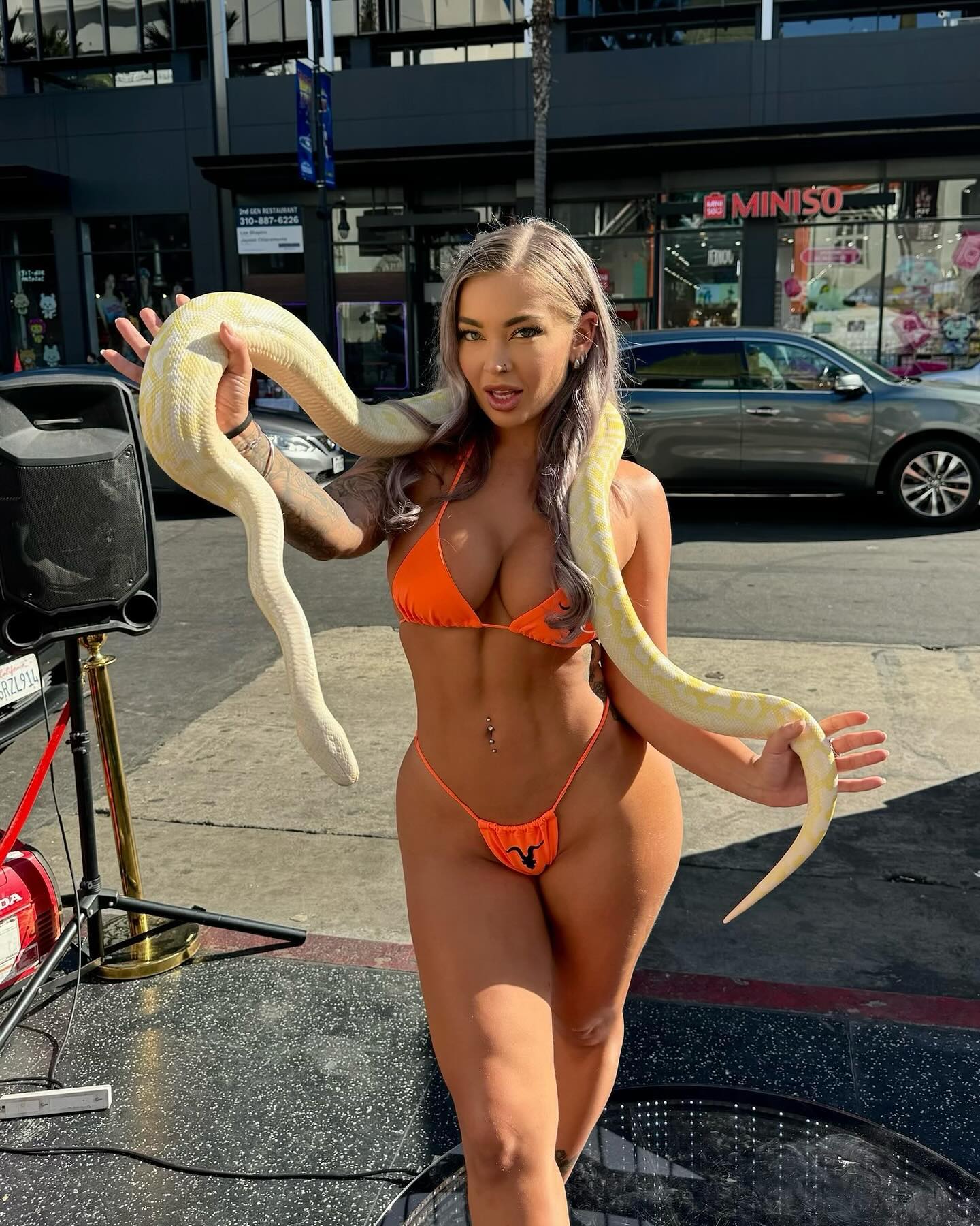 itshayleydavies instagram image archive image