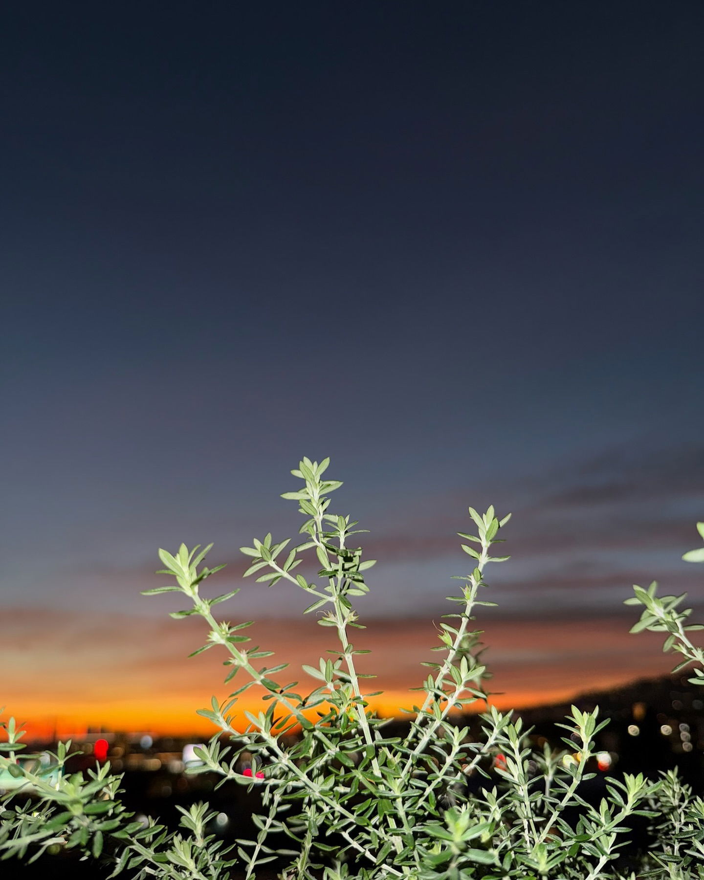 itshayleydavies instagram image archive image