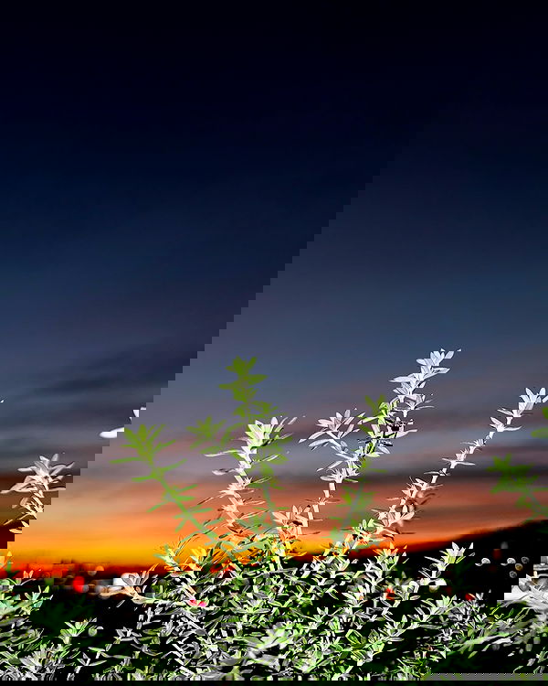 itshayleydavies image ~ Altpins