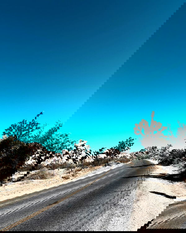 itshayleydavies image ~ Altpins