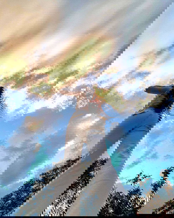 itsilanosh itsilanosh archive image