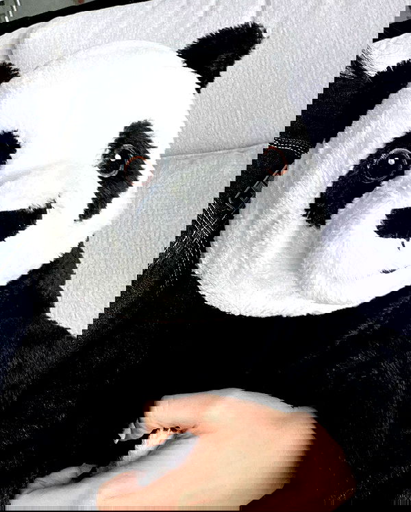 itsilanosh itsilanosh archive image