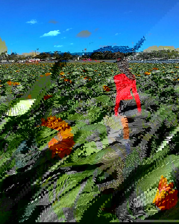 itsilanosh itsilanosh archive image