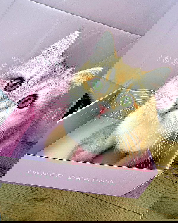 itsilanosh itsilanosh archive image