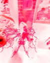 ivus.h Altpins Profile Picture