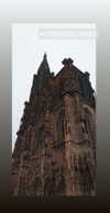 ivy.owowo Altpins Profile Picture