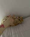 ivy.owowo Altpins Profile Picture