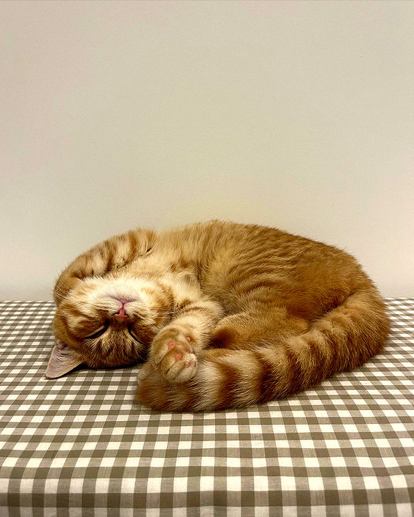 ivy.owowo instagram image archive image