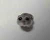 ivy.owowo Altpins Profile Picture