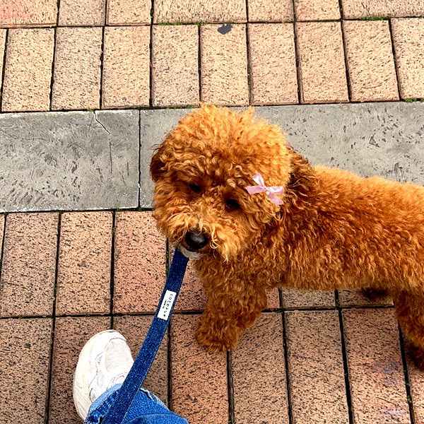 ivy.owowo instagram image archive image