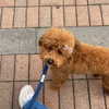ivy.owowo Altpins Profile Picture