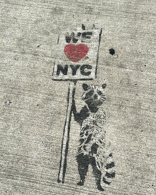 j.yce instagram image archive image