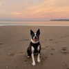 jade.schutte Altpins Profile Picture