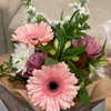 jade.schutte Altpins Profile Picture