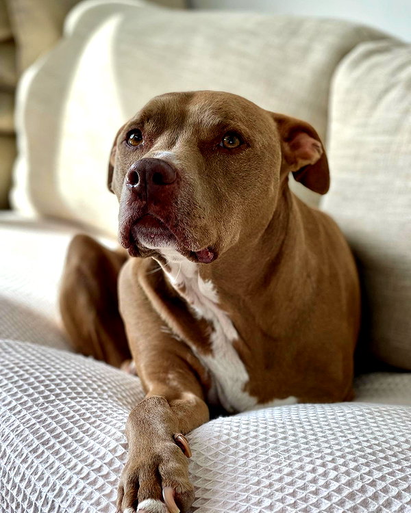 jade.schutte instagram image archive image