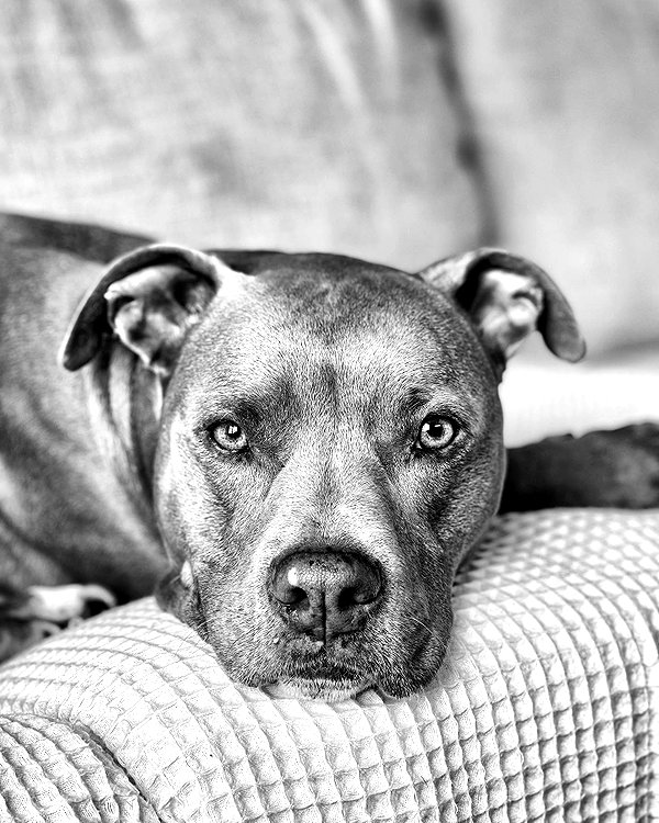 jade.schutte instagram image archive image
