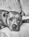 jade.schutte Altpins Profile Picture