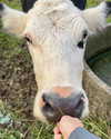 jade.schutte Altpins Profile Picture