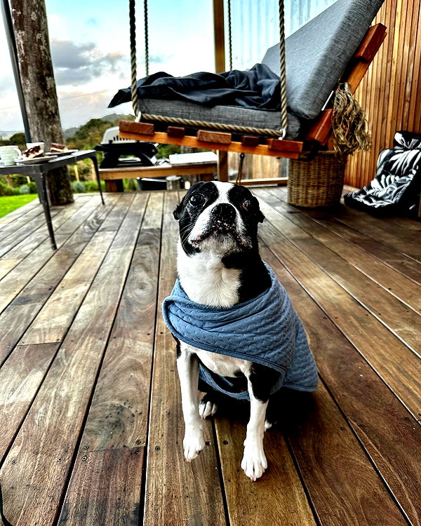 jade.schutte instagram image archive image