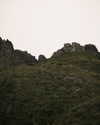 jade.schutte Altpins Profile Picture