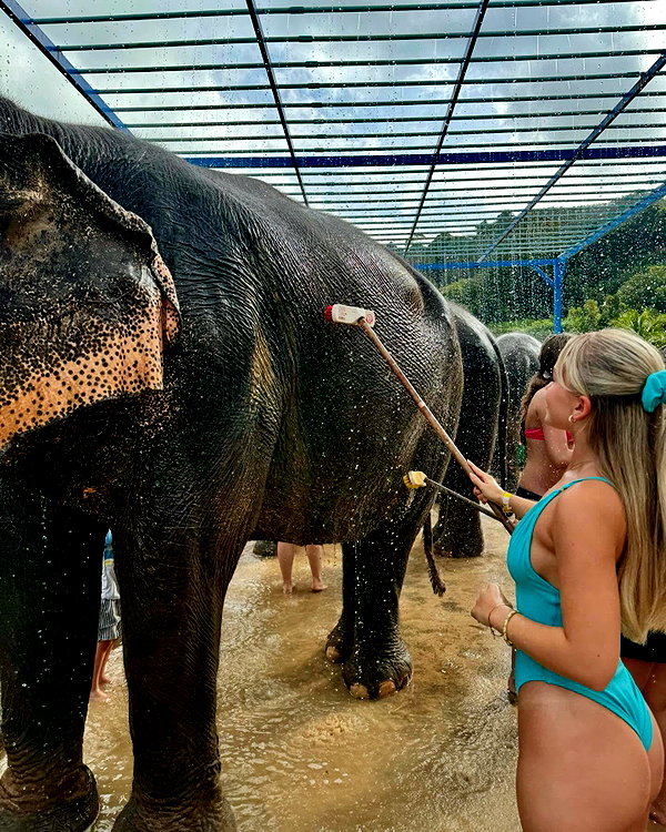 jadelawrence5 instagram image archive image