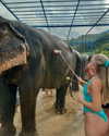 jadelawrence5 Altpins Profile Picture